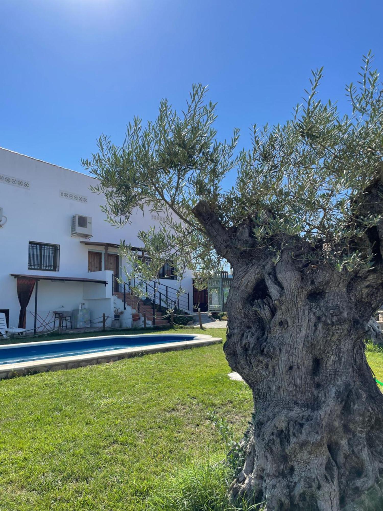 Casa Rural El Miajon Villa El Campo  Dış mekan fotoğraf
