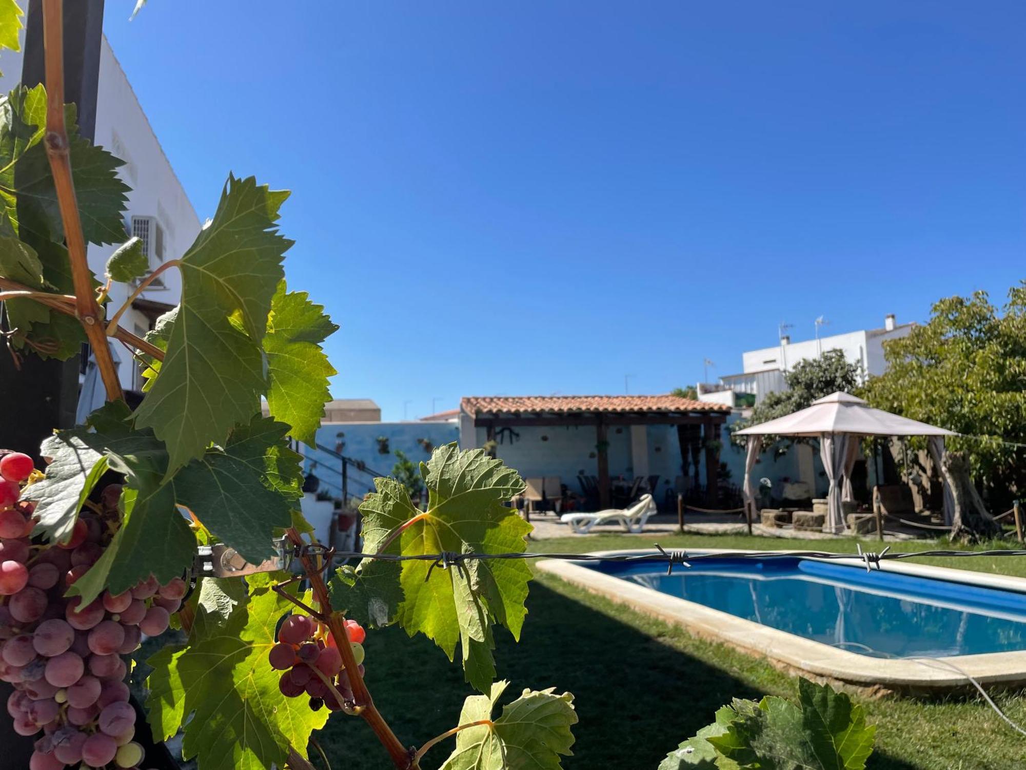 Casa Rural El Miajon Villa El Campo  Dış mekan fotoğraf