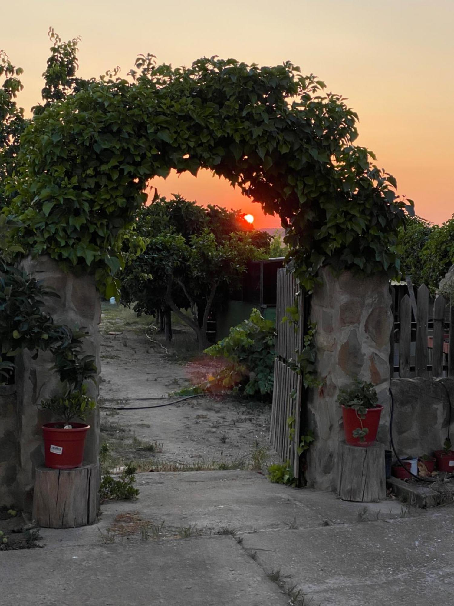 Casa Rural El Miajon Villa El Campo  Dış mekan fotoğraf